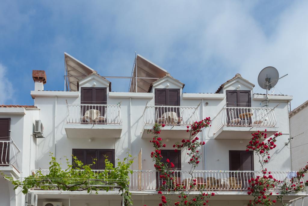Anka Cavtat